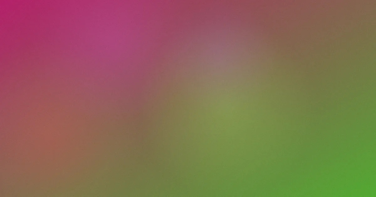 陈彦妃推荐：新手先看这些